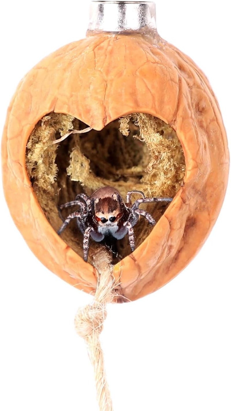 Daerky Jumping Spider Hide, A Real Shelter Made of Walnut Skin, Magnetic Hidden Jumping Spider Habitat,Handmade Spider Enclosure Accessories, Jumping Spider Enclosure - Image 1